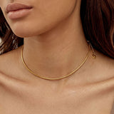 Round Snake Chain Necklace