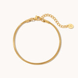 Round Snake Chain Anklet