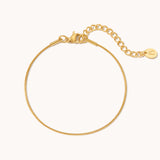 Ultra Dainty Round Snake Chain Anklet